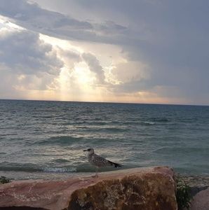 Meet your Posher, Florin